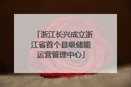 浙江长兴成立浙江省首个县级储能运营管理中心