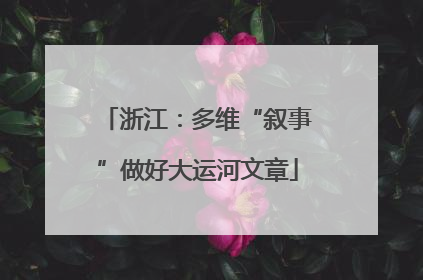 浙江：多维“叙事”做好大运河文章