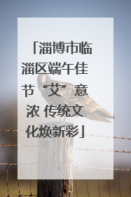 淄博市临淄区端午佳节“艾”意浓 传统文化焕新彩