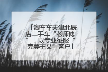 淘车车天津北辰店二手车“老师傅”，以专业征服“完美主义”客户