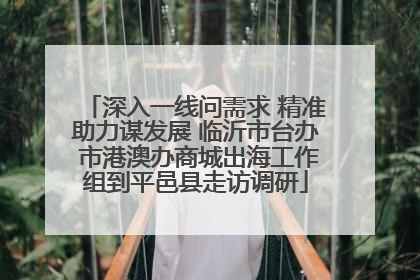 深入一线问需求 精准助力谋发展 临沂市台办 市港澳办商城出海工作组到平邑县走访调研