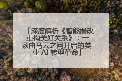 深度解析《智能爆改 重构美好关系》：一场由马云之问开启的美业 AI 转型革命