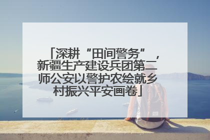 深耕“田间警务”，新疆生产建设兵团第二师公安以警护农绘就乡村振兴平安画卷