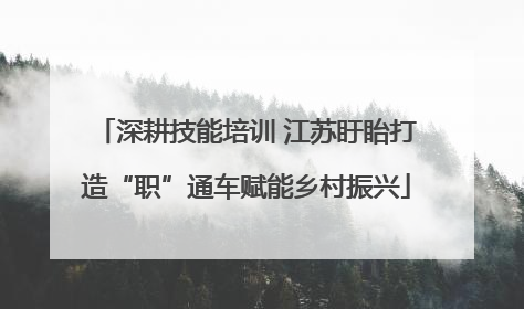 深耕技能培训 江苏盱眙打造“职”通车赋能乡村振兴
