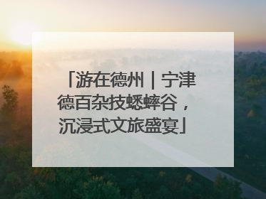 游在德州｜宁津德百杂技蟋蟀谷，沉浸式文旅盛宴