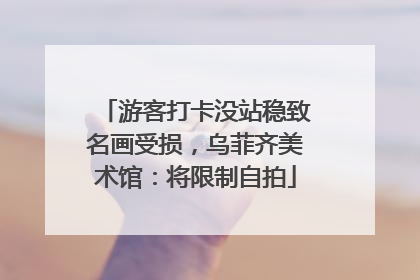 游客打卡没站稳致名画受损，乌菲齐美术馆：将限制自拍
