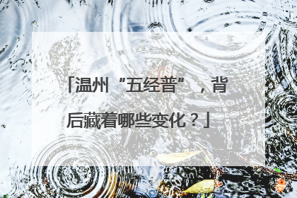 温州“五经普”，背后藏着哪些变化？