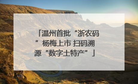 温州首批“浙农码”杨梅上市 扫码溯源“数字土特产”