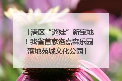 港区“遛娃”新宝地！我省首家洛嘉森乐园落地苑城文化公园