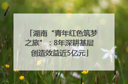 湖南“青年红色筑梦之旅”:8年深耕基层创造效益近5亿元