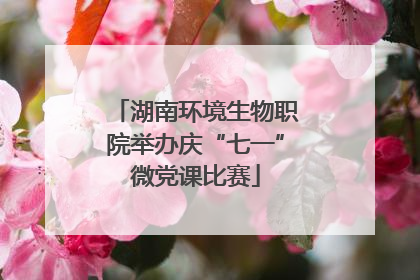 湖南环境生物职院举办庆“七一”微党课比赛