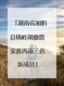 湖南省湘阴县横岭湖麋鹿家族再添三名新成员