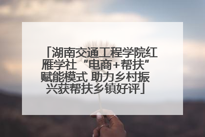 湖南交通工程学院红雁学社“电商+帮扶”赋能模式 助力乡村振兴获帮扶乡镇好评