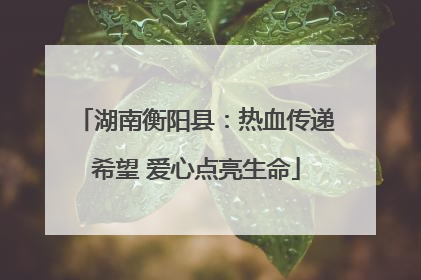 湖南衡阳县：热血传递希望 爱心点亮生命