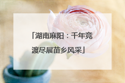 湖南麻阳：千年竞渡尽展苗乡风采