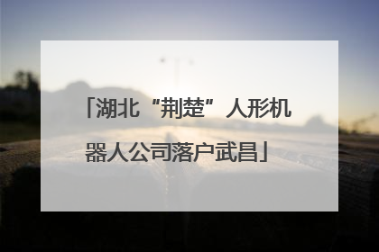 湖北“荆楚”人形机器人公司落户武昌
