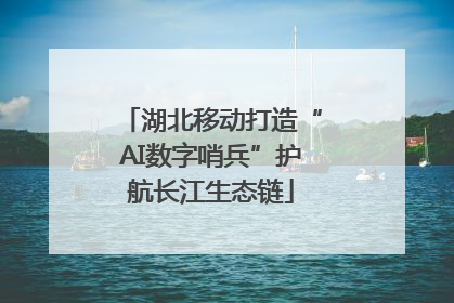 湖北移动打造“AI数字哨兵”护航长江生态链