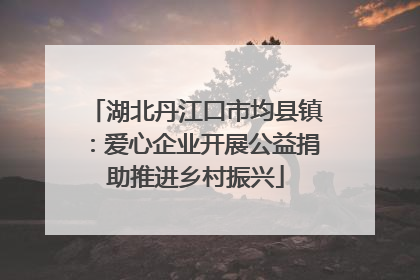 湖北丹江口市均县镇：爱心企业开展公益捐助推进乡村振兴