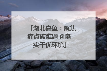 湖北嘉鱼：聚焦痛点破难题 创新实干优环境