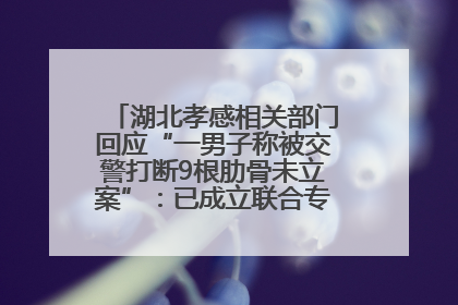 湖北孝感相关部门回应“一男子称被交警打断9根肋骨未立案”：已成立联合专班开展工作