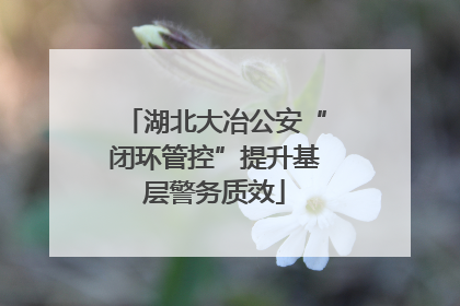 湖北大冶公安“闭环管控”提升基层警务质效