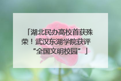 湖北民办高校首获殊荣！武汉东湖学院获评“全国文明校园”