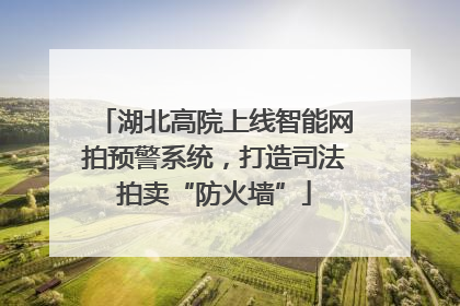 湖北高院上线智能网拍预警系统，打造司法拍卖“防火墙”