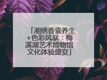 湘绣香囊养生+色彩风暴：梅溪湖艺术博物馆文化体验盛宴
