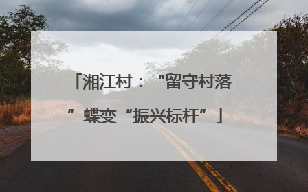 湘江村：“留守村落”蝶变“振兴标杆”