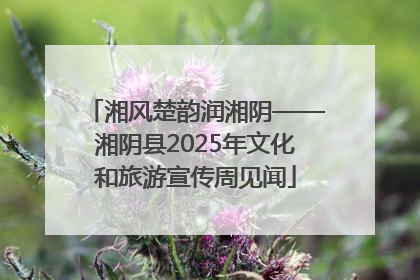 湘风楚韵润湘阴——湘阴县2025年文化和旅游宣传周见闻