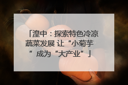 湟中：探索特色冷凉蔬菜发展 让“小菊芋”成为“大产业”