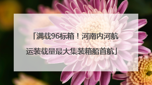 满载96标箱！河南内河航运装载量最大集装箱船首航
