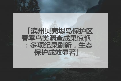 滨州贝壳堤岛保护区春季鸟类调查成果惊艳：多项纪录刷新，生态保护成效显著