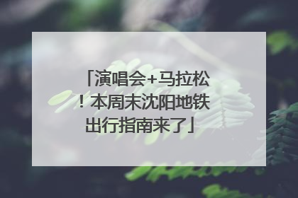 演唱会+马拉松！本周末沈阳地铁出行指南来了