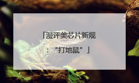 漫评美芯片新规：“打地鼠”