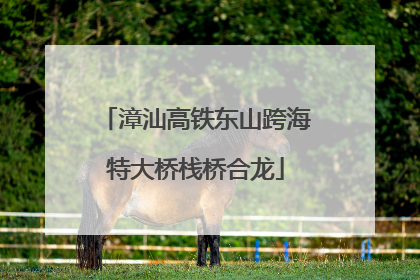 漳汕高铁东山跨海特大桥栈桥合龙