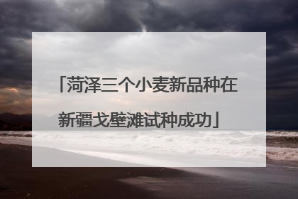 菏泽三个小麦新品种在新疆戈壁滩试种成功