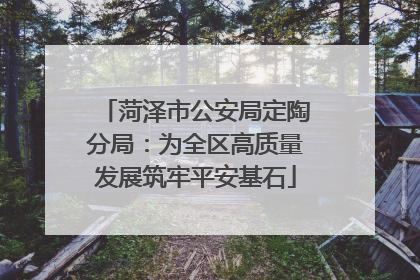 菏泽市公安局定陶分局：为全区高质量发展筑牢平安基石