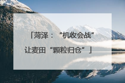 菏泽：“机收会战”让麦田“颗粒归仓”