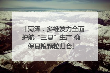 菏泽：多维发力全面护航“三夏”生产 确保夏粮颗粒归仓