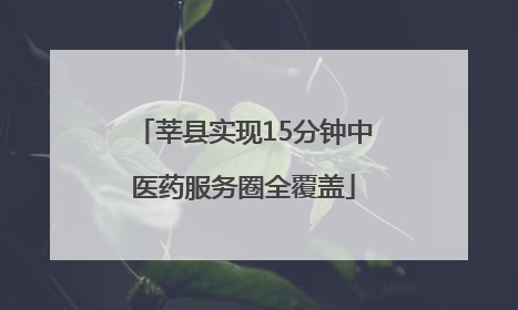 莘县实现15分钟中医药服务圈全覆盖