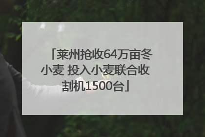 莱州抢收64万亩冬小麦 投入小麦联合收割机1500台
