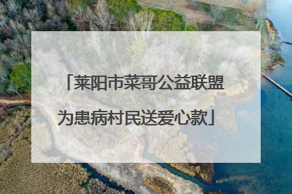 莱阳市菜哥公益联盟为患病村民送爱心款