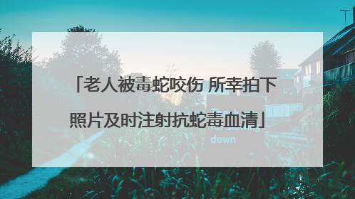 老人被毒蛇咬伤 所幸拍下照片及时注射抗蛇毒血清