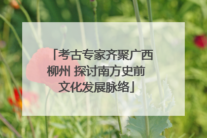 考古专家齐聚广西柳州 探讨南方史前文化发展脉络