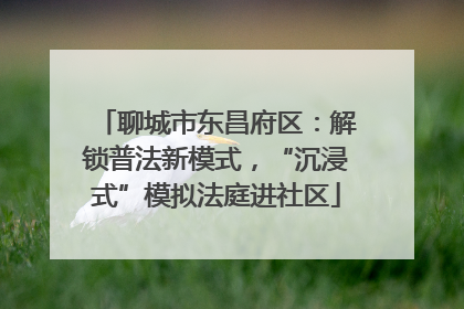 聊城市东昌府区：解锁普法新模式，“沉浸式”模拟法庭进社区