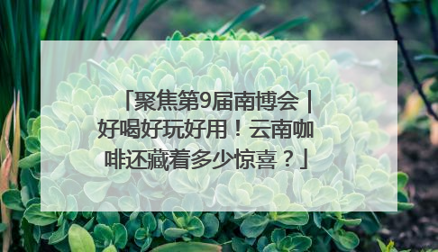 聚焦第9届南博会｜好喝好玩好用！云南咖啡还藏着多少惊喜？