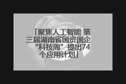 聚焦人工智能 第三届湖南省国资国企“科技周”提出74个应用计划