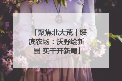 聚焦北大荒｜绥滨农场：沃野绘新景 实干开新局
