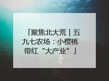 聚焦北大荒｜五九七农场：小樱桃带红“大产业”